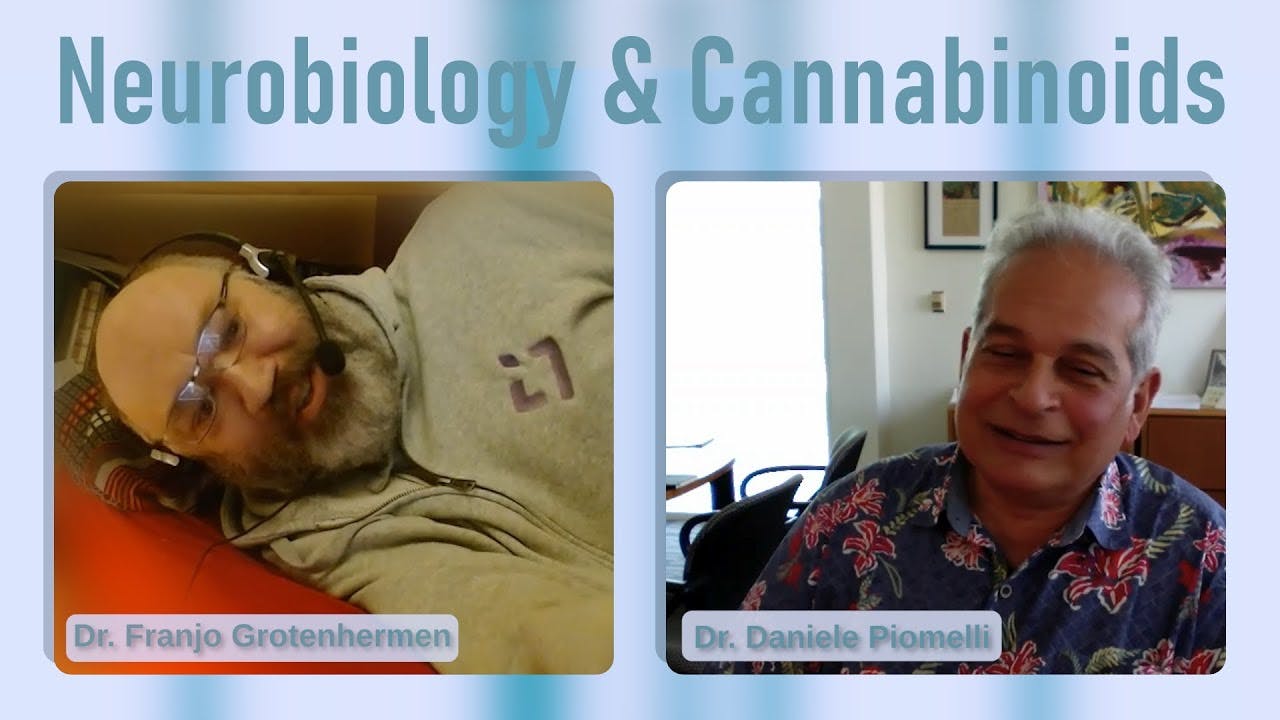 Neurobiology and Cannabinoids